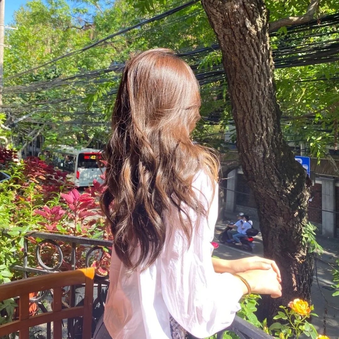 愿妻如蔷薇